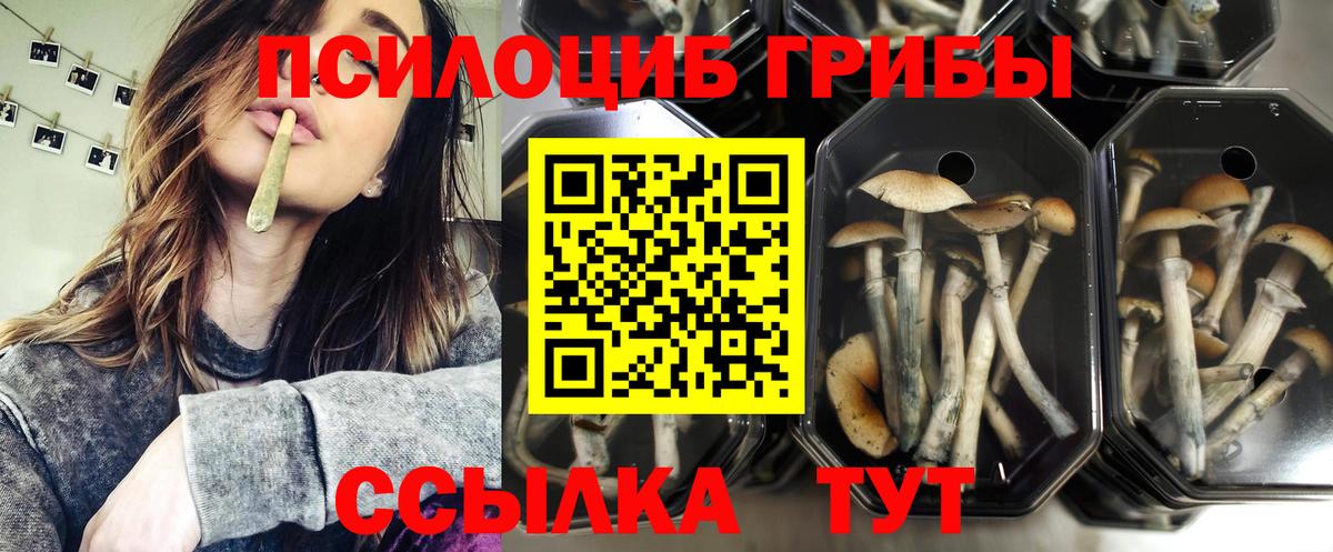 Псилоцибиновые грибы мухоморы Якутск