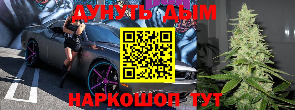 Бошки Шишки сатива  Марихуана марихуана  Конопля гибрид  Якутск  Каннабис ГИДРОПОН  Вход с VPN 